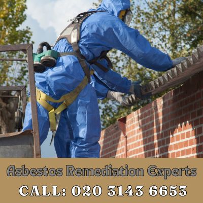 Asbestos Remediation Experts Northwood