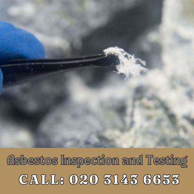 Comprehensive Asbestos Inspection and Testing Services in Northwood